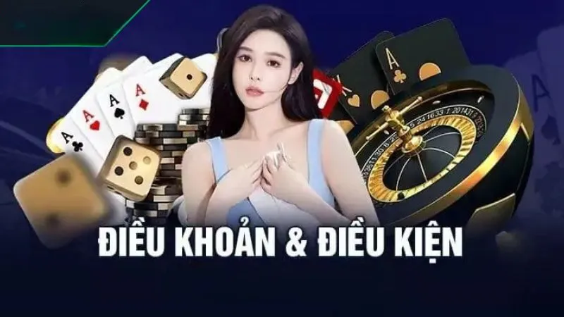 Điều khoản và điều kiện vk88